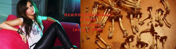 spice Белоозёрский