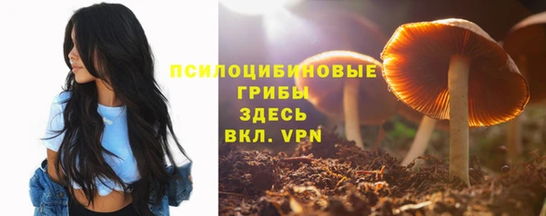 spice Белоозёрский