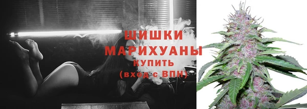 PSILOCYBIN Беломорск