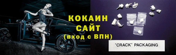 гидра Белокуриха