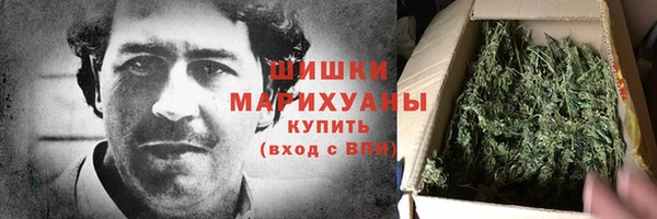 PSILOCYBIN Беломорск