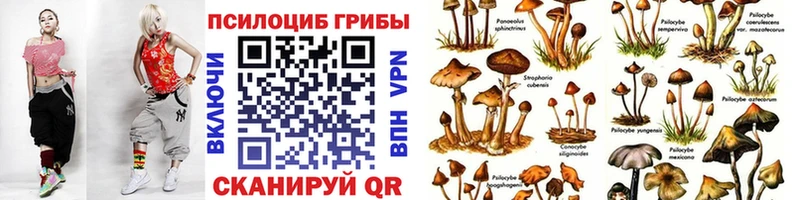 Псилоцибиновые грибы MAGIC MUSHROOMS  наркотики  Черноголовка 